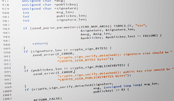 Code Auditing